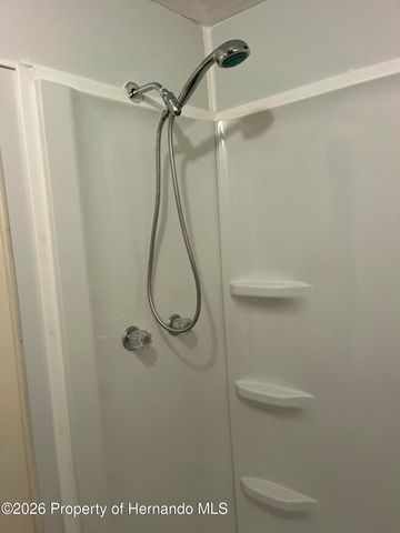 15466 Brookridge Boulevard, Brooksville, FL 34613