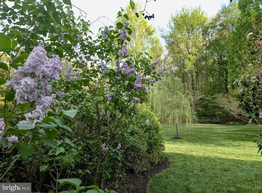Image 33 of property listing at 12005 BACKUS DR, Bowie, MD 20720