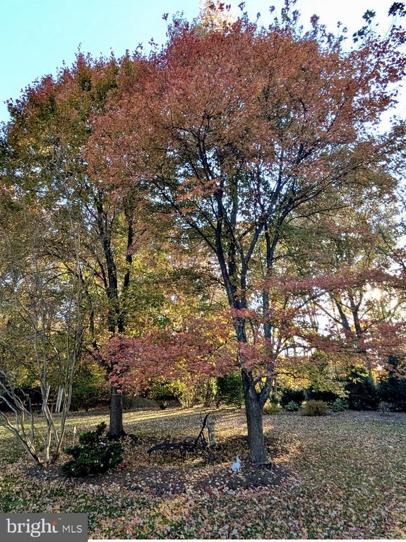 Image 34 of property listing at 12005 BACKUS DR, Bowie, MD 20720