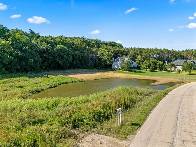16604 Pine Hill Drive, Homer Glen, IL 60491