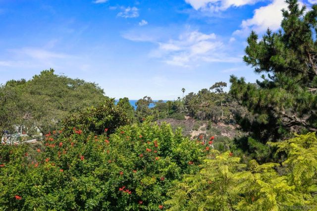 1640 El Paso Real, La Jolla, CA 92037