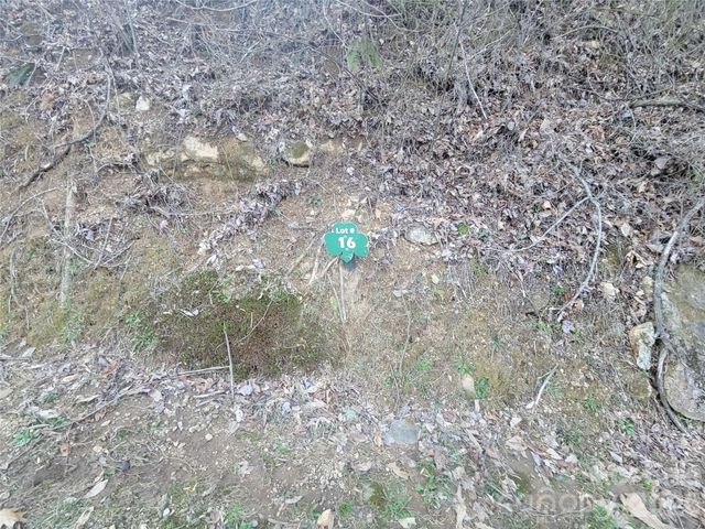 00 Covecrest Lane 16, Maggie Valley, NC 28751