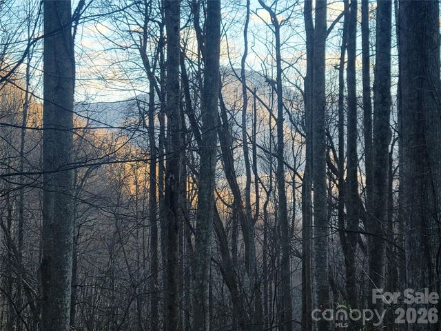 00 Covecrest Lane 16, Maggie Valley, NC 28751