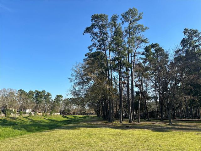 15126 Forest Lodge Drive, Houston, TX 77070