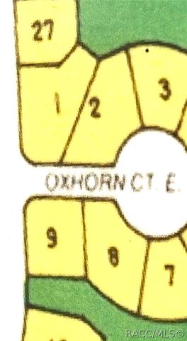 4 Oxhorn Court E, Homosassa, FL 34446