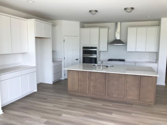 22150 Donnas Drive, Lyon Charter Township, MI 48178