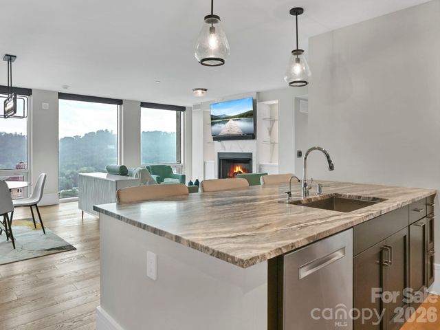 7 Patton Avenue 1805, Asheville, NC 28801