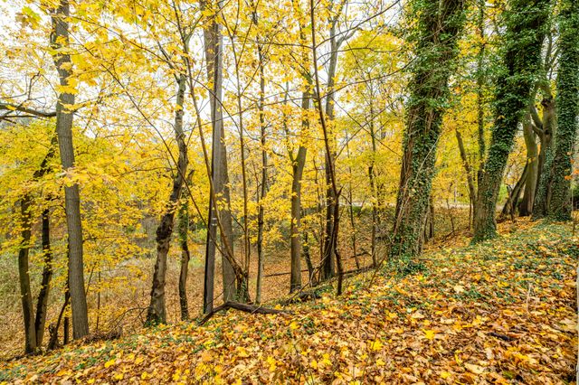 1298 Colfax Avenue, Benton Harbor, MI 49022