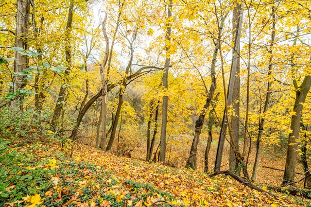 1298 Colfax Avenue, Benton Harbor, MI 49022