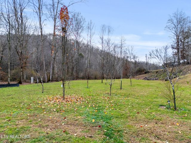 1214 Little Elk Creek Rd, Pioneer, TN 37847