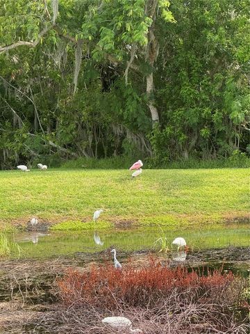 4704 CASSWELL DRIVE, New Port Richey, FL 34652
