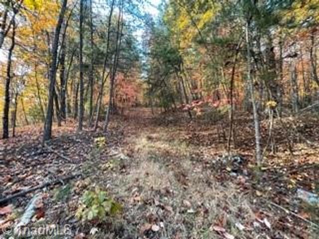 1928 Frye Road, Westfield, NC 27053