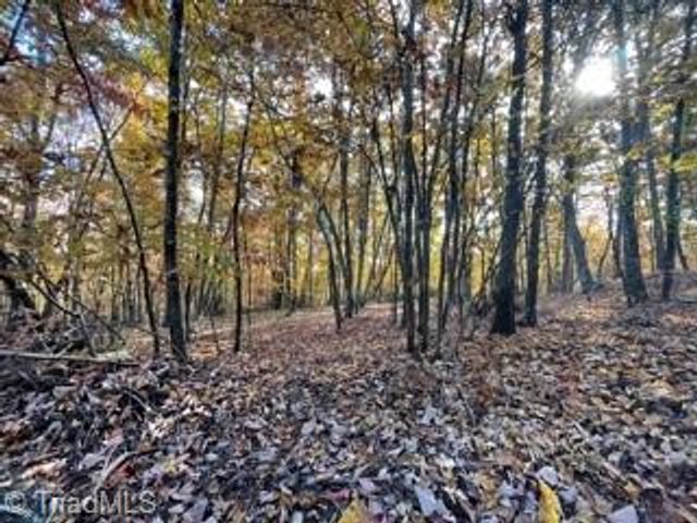 1928 Frye Road, Westfield, NC 27053