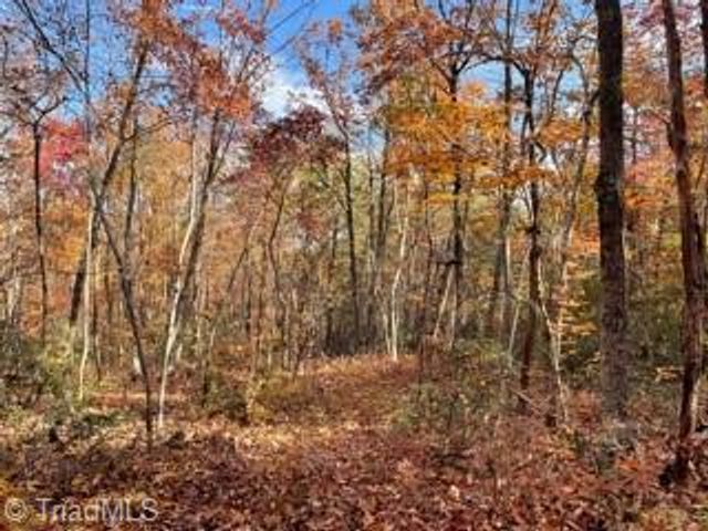 1928 Frye Road, Westfield, NC 27053