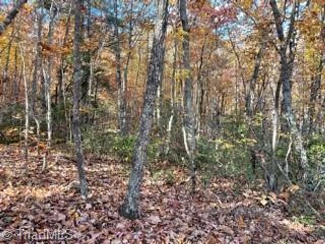 1928 Frye Road, Westfield, NC 27053