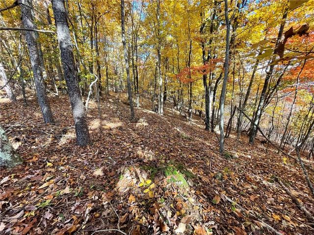 1928 Frye Road, Westfield, NC 27053