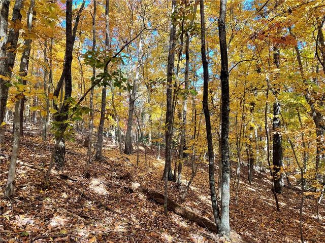 1928 Frye Road, Westfield, NC 27053