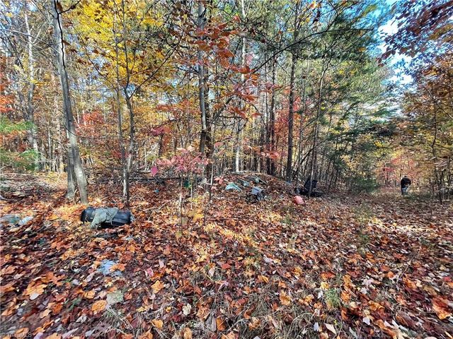 1928 Frye Road, Westfield, NC 27053