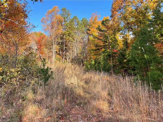 1928 Frye Road, Westfield, NC 27053