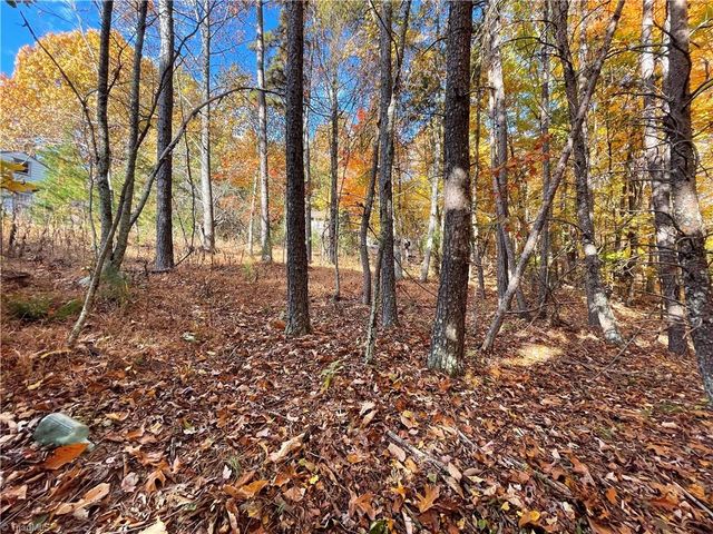 1928 Frye Road, Westfield, NC 27053