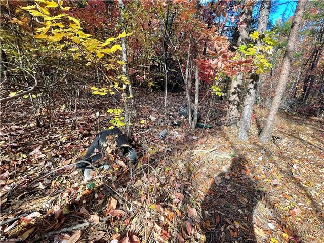 1928 Frye Road, Westfield, NC 27053