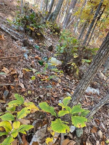 1928 Frye Road, Westfield, NC 27053