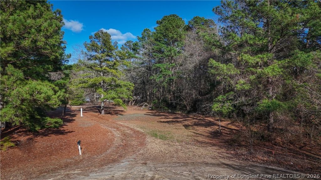 3600 Quarter Horse Run Lane, Parkton, NC 28371 — photo 4