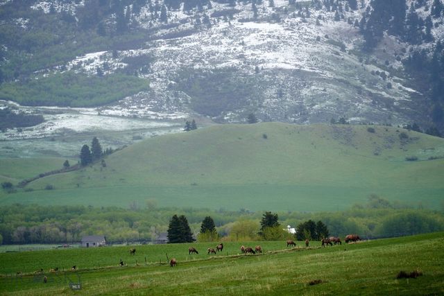 47 Francham Trail, Bozeman, MT 59715