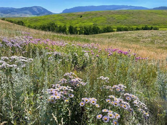47 Francham Trail, Bozeman, MT 59715