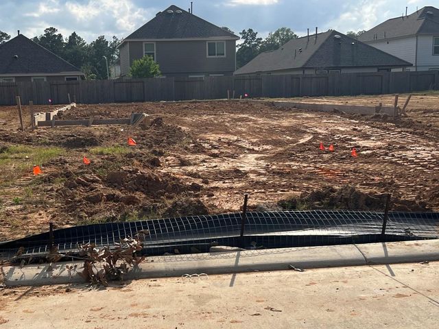 2974 Sir Ian Blake Drive, Conroe, TX 77301