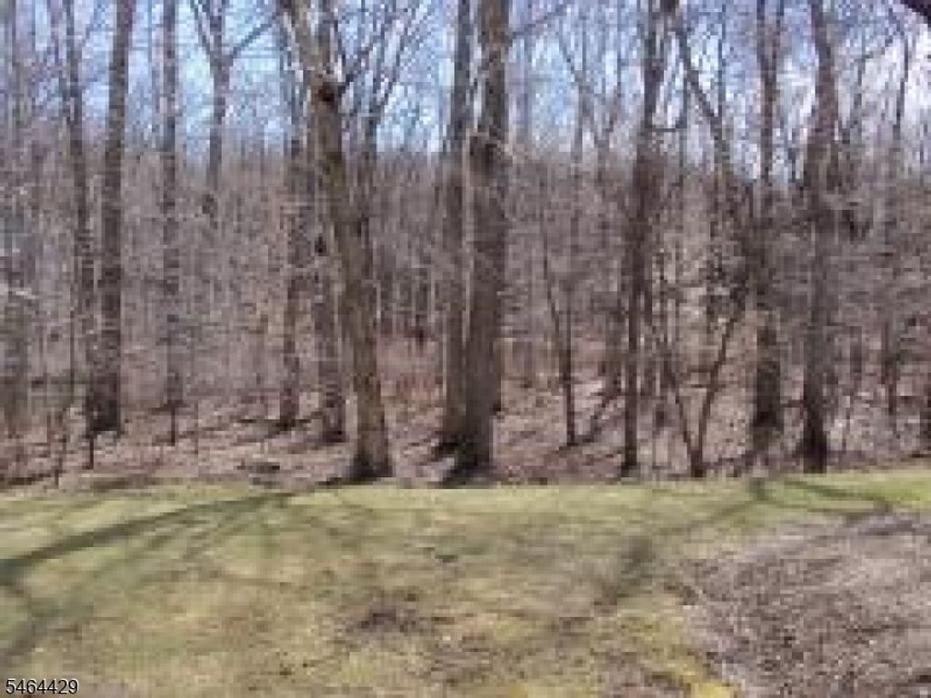 161 Woods Edge Dr 161, Roxbury Twp., NJ 07876 — photo 4