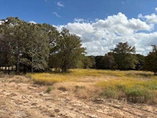 Lot 19 Red Oak Hills Road, Nocona, TX 76255