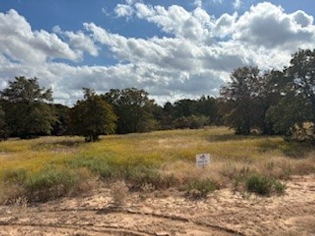 Lot 19 Red Oak Hills Road, Nocona, TX 76255