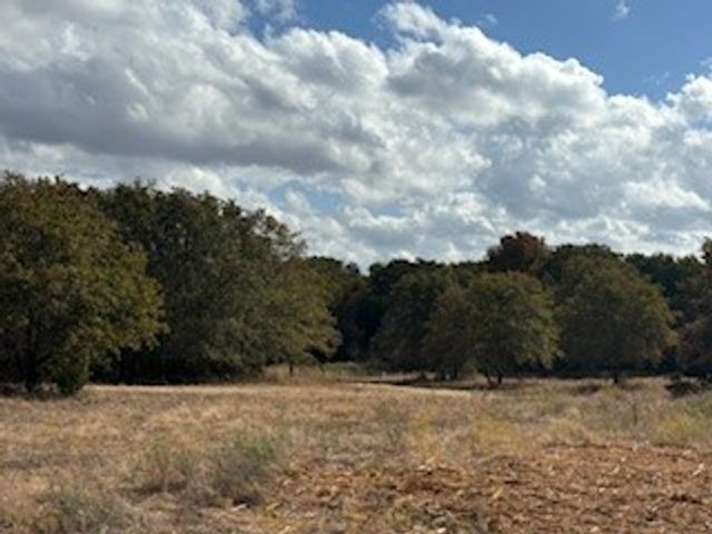Lot 19 Red Oak Hills Road, Nocona, TX 76255