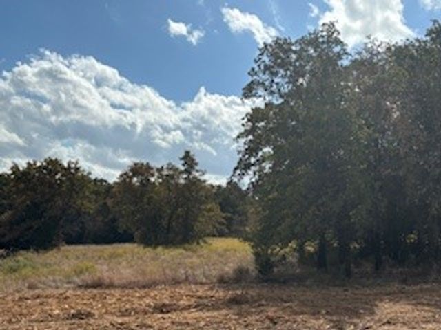 Lot 19 Red Oak Hills Road, Nocona, TX 76255