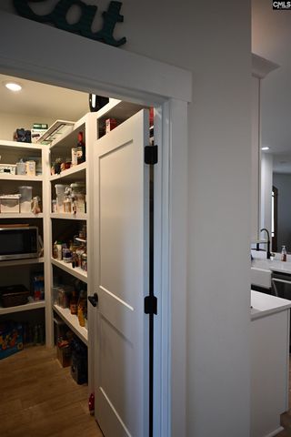 160 Stucks Point, Chapin, SC 29036