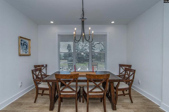 160 Stucks Point, Chapin, SC 29036