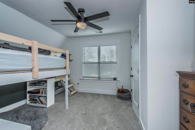 160 Stucks Point, Chapin, SC 29036