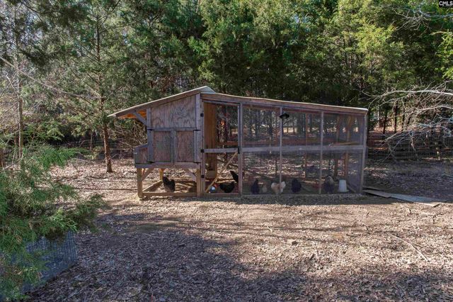 160 Stucks Point, Chapin, SC 29036