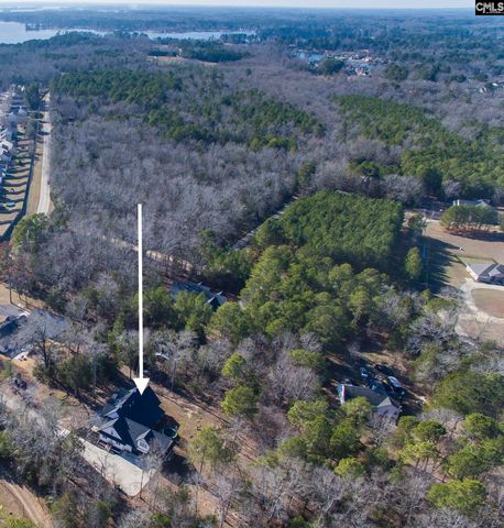 160 Stucks Point, Chapin, SC 29036