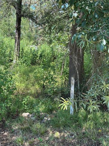 389 E Sherwood Drive, Livingston, TX 77351