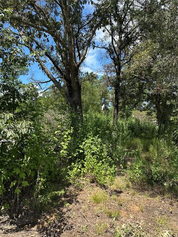389 E Sherwood Drive, Livingston, TX 77351