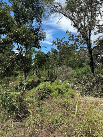 389 E Sherwood Drive, Livingston, TX 77351