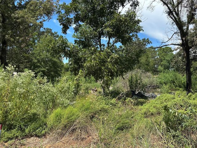 389 E Sherwood Drive, Livingston, TX 77351