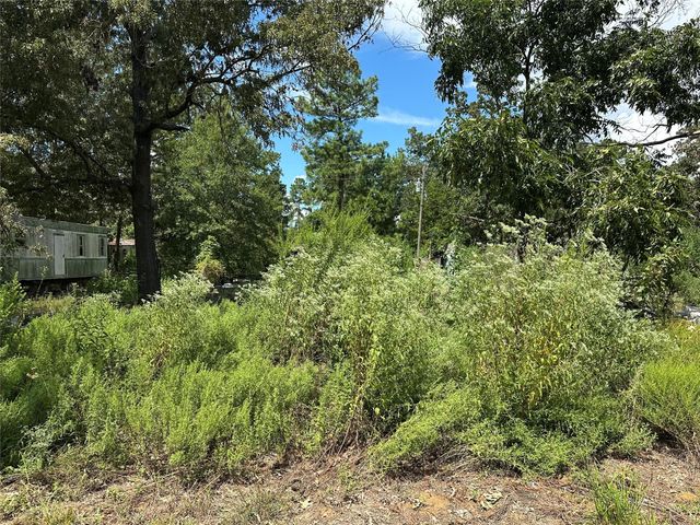 389 E Sherwood Drive, Livingston, TX 77351