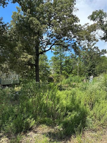 389 E Sherwood Drive, Livingston, TX 77351