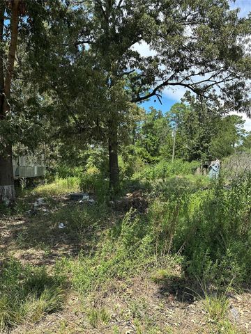 389 E Sherwood Drive, Livingston, TX 77351