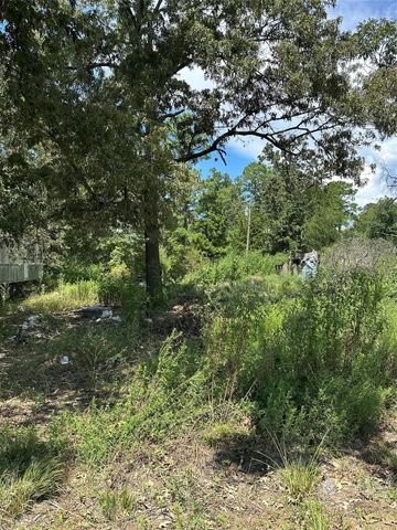 389 E Sherwood Drive, Livingston, TX 77351