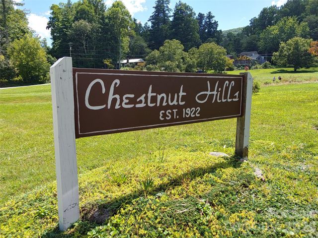 72 Chestnut Hill Road, Gerton, NC 28735