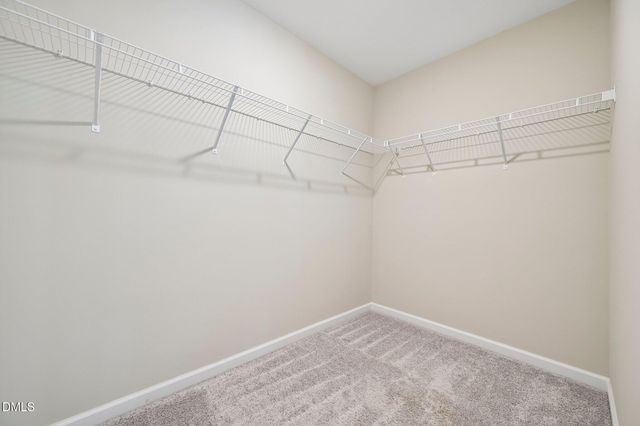 1011 Rocketcress Drive, Durham, NC 27713
